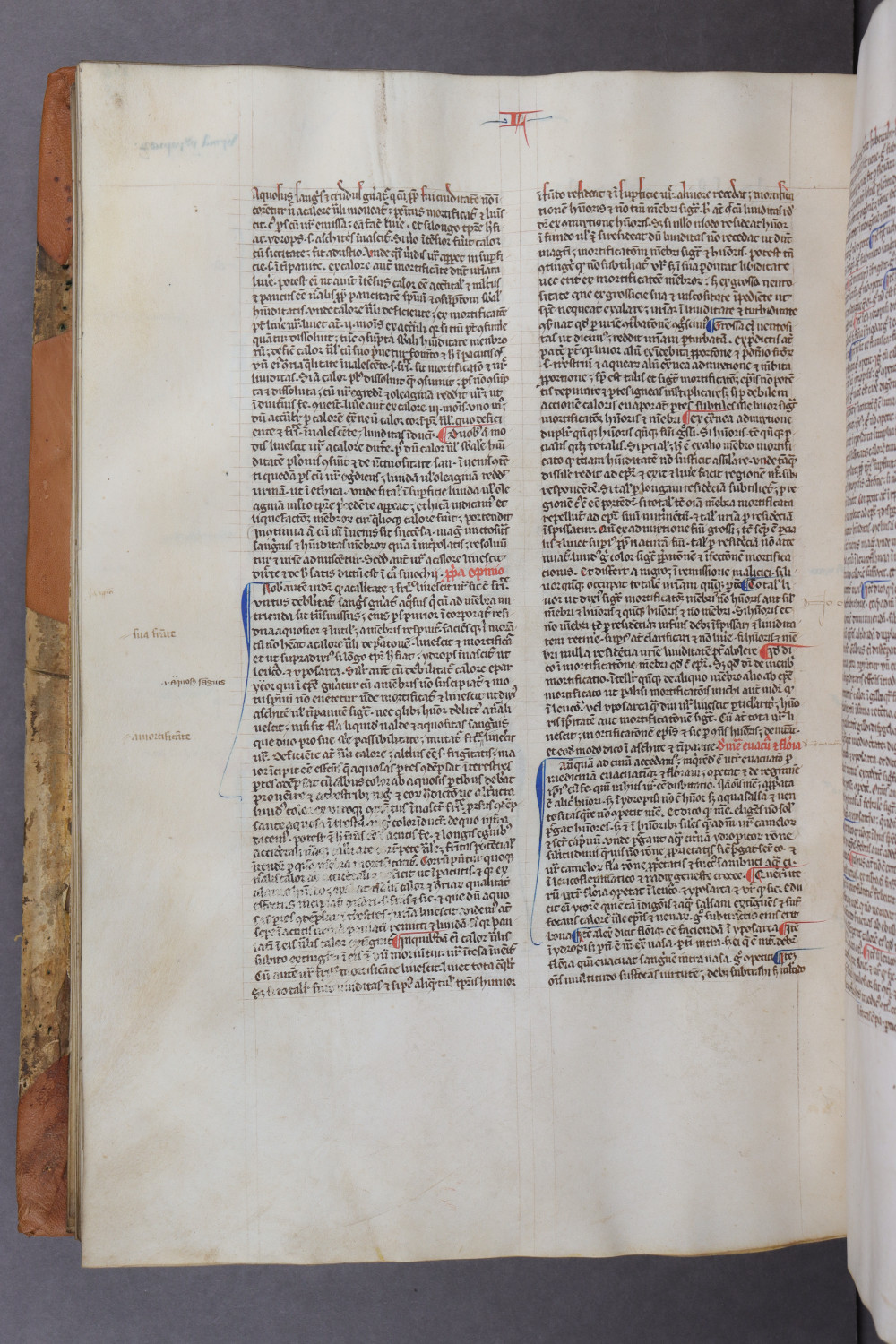 Folio 117 verso